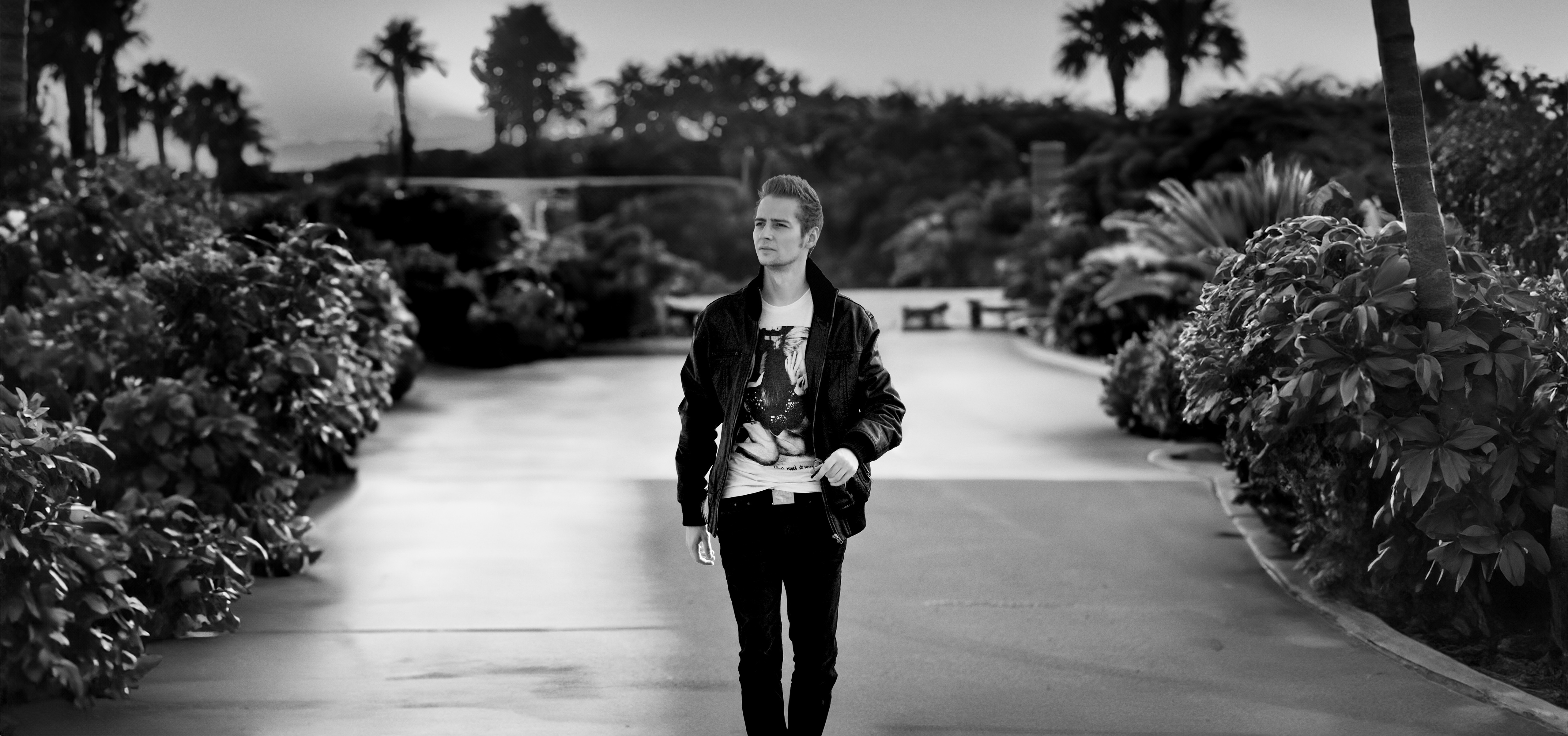 Norman Claim walks confidently along a palm-lined path, surrounded by tropical foliage gently swaying in the breeze. Sunlight filters through the canopy, creating shifting shadows on the ground.